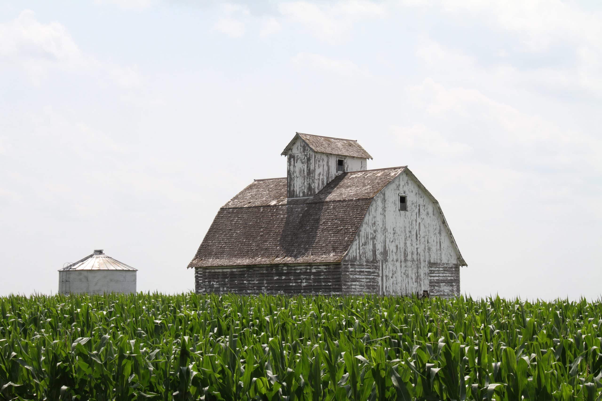 organic crop certification in sd