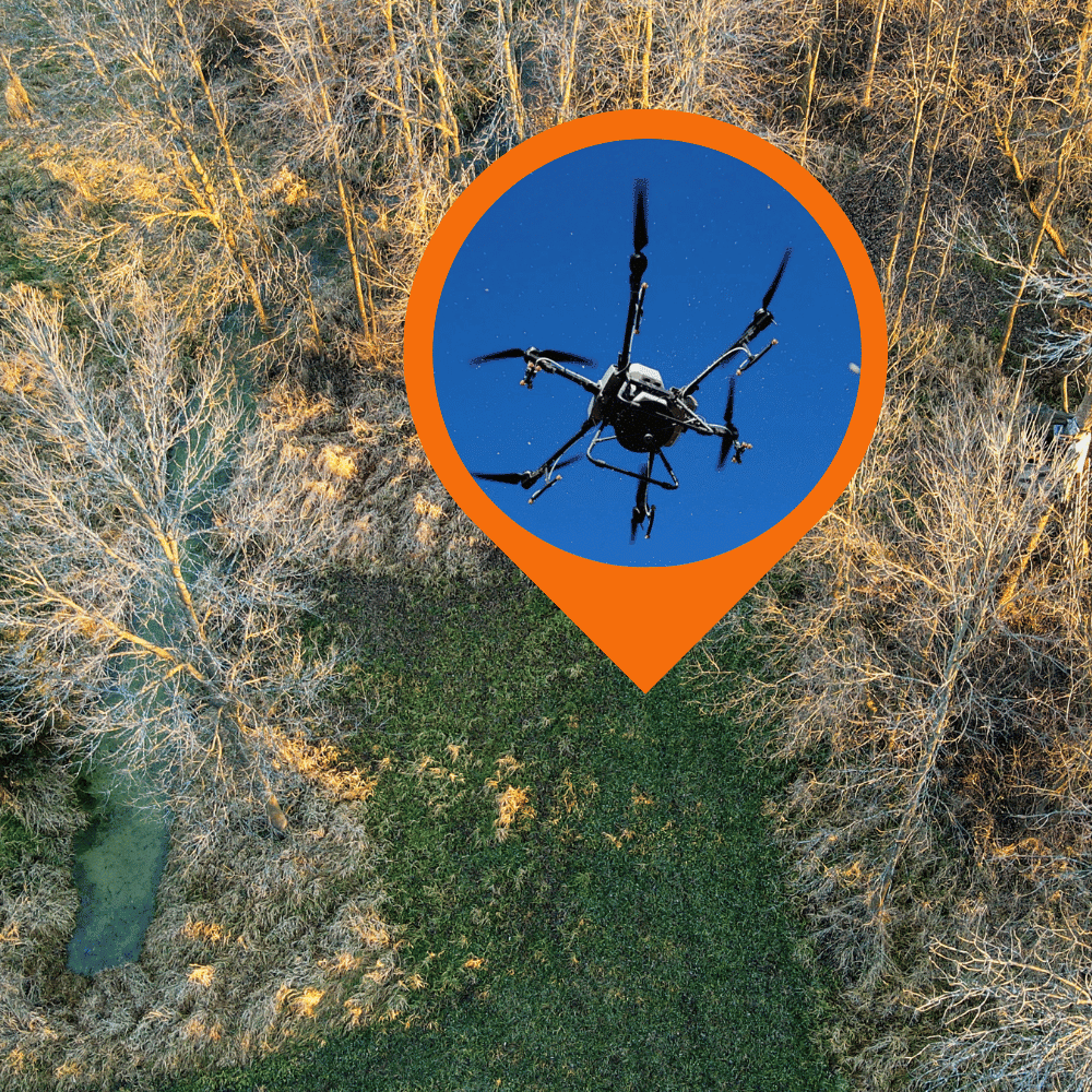 Photo shows drone seeded food plot in hard to reach area on whitetail property
