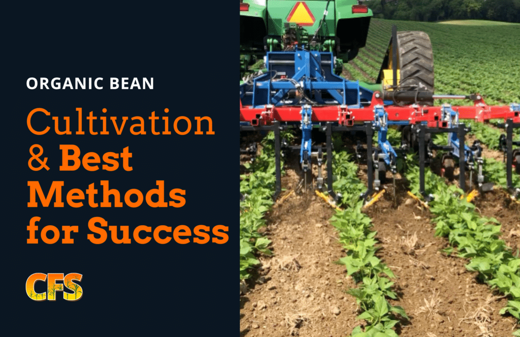 Chicken vs. Cow Manure Best Fertilizer for Organic Crop Farmers