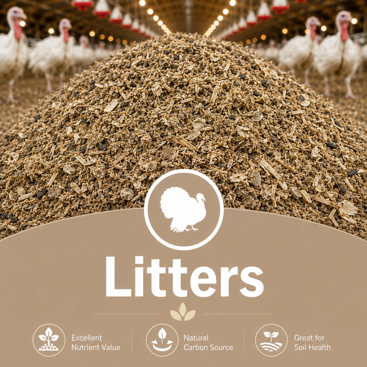 Turkey litter pile inside a poultry barn with beige bedding, wood shavings, and organic material. Overlay highlights nutrient value, carbon source, and soil health benefits.